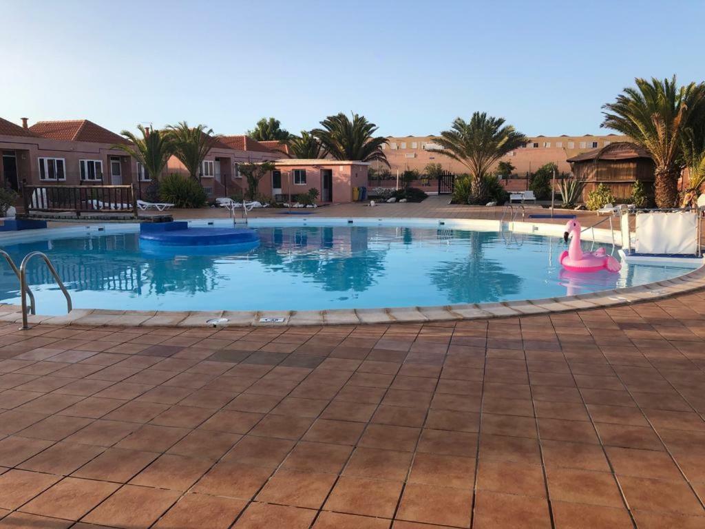 Appartement Paulalucia à Costa De Antigua Extérieur photo